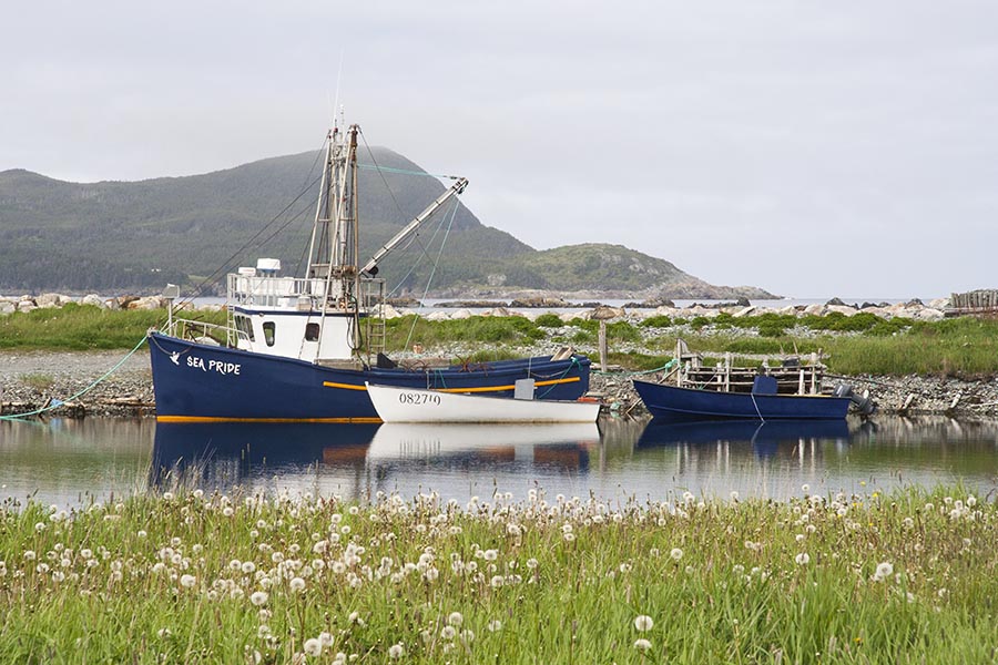 Ferryland Harbour